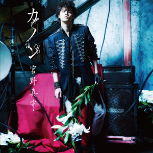 Rox和小毛蛋婚礼
