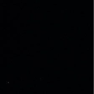 Rox和小毛蛋婚礼
