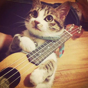 Rox和小毛蛋婚礼
