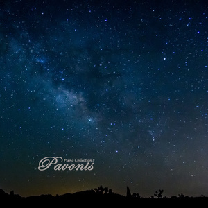 Rox和小毛蛋婚礼
