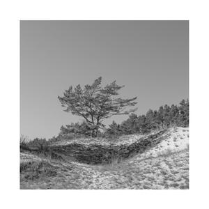 Rox和小毛蛋婚礼
